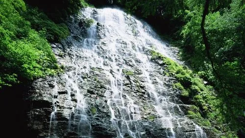 绿色智能高标准